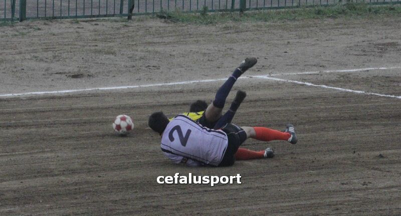 120310 stefanese 156y_tn.jpg